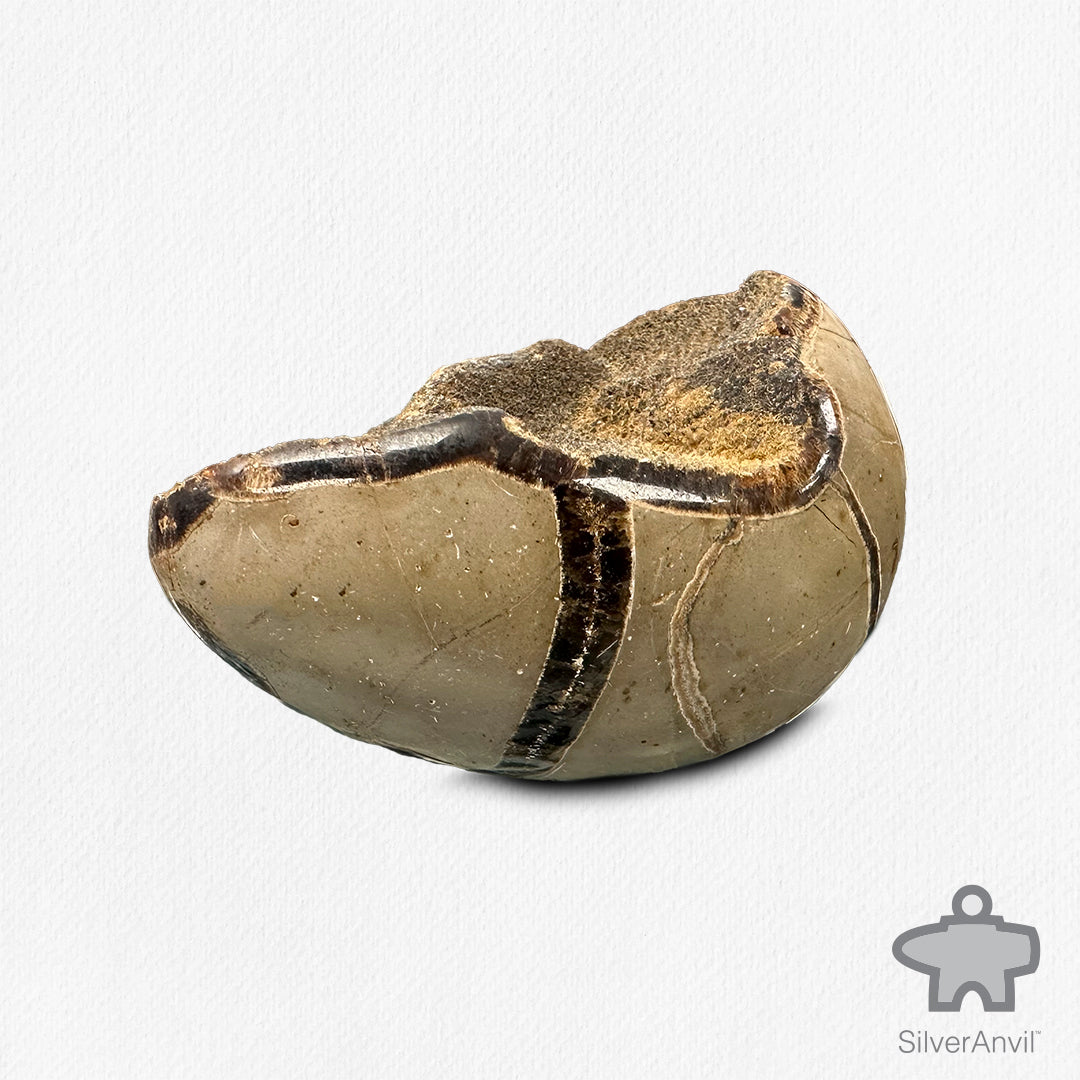 Septarian Dragon Egg