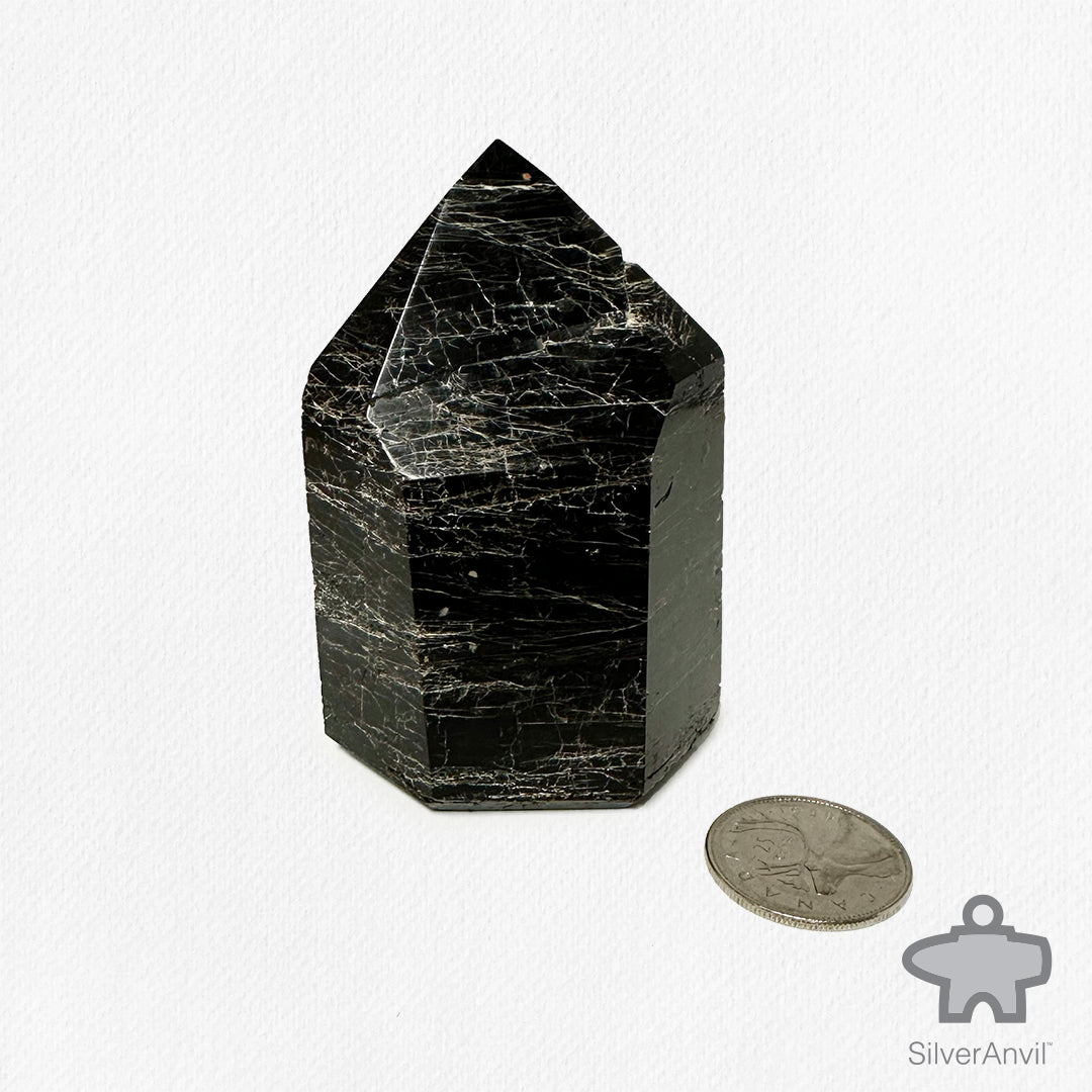 Black Tourmaline Point