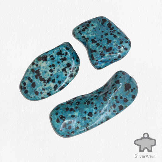 Blue/Jasper Dalmatian