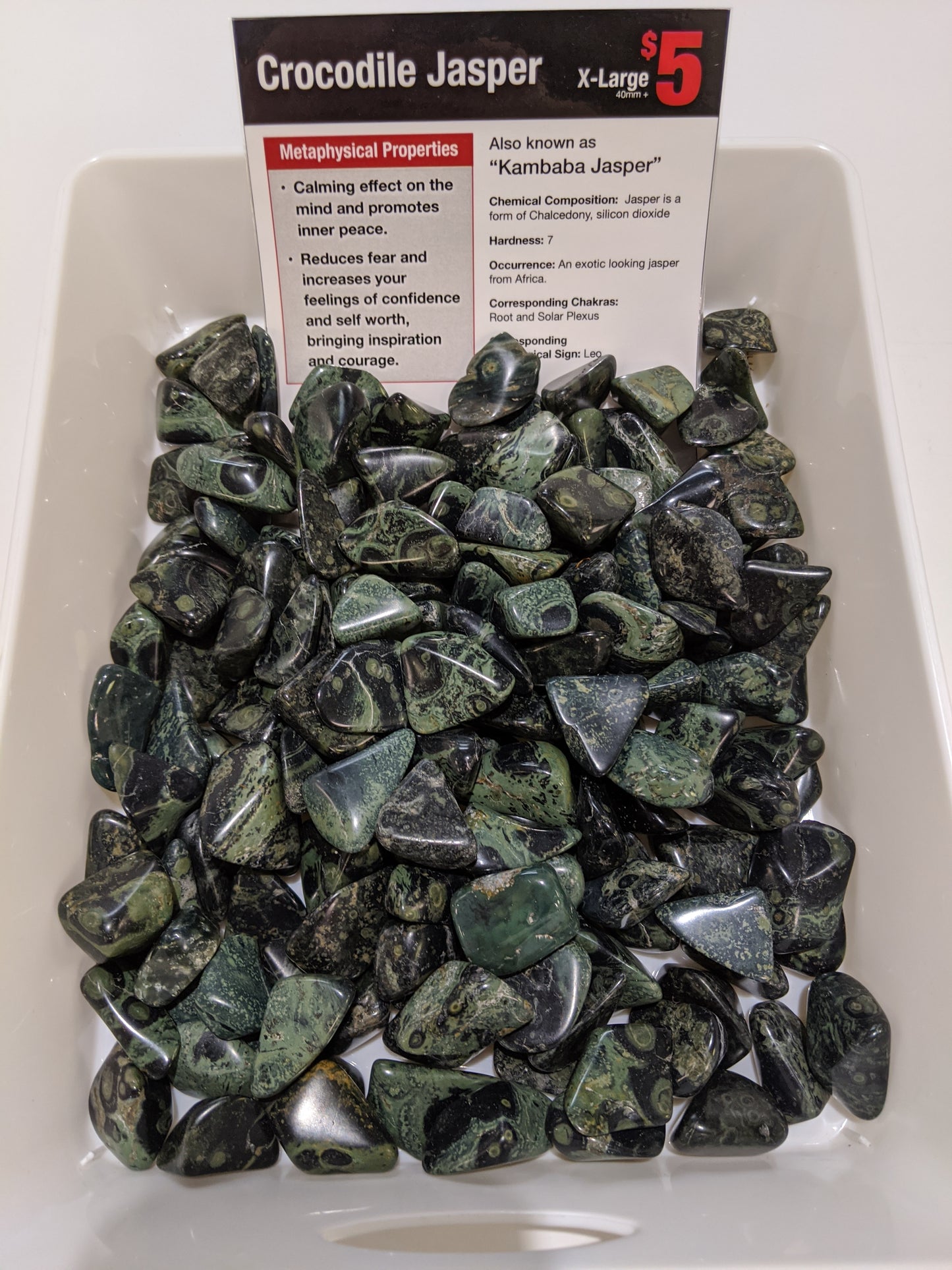 Crocodile Jasper XL
