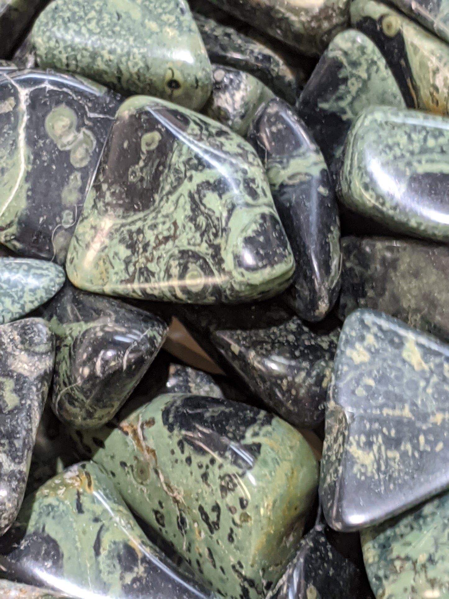 Crocodile Jasper XL