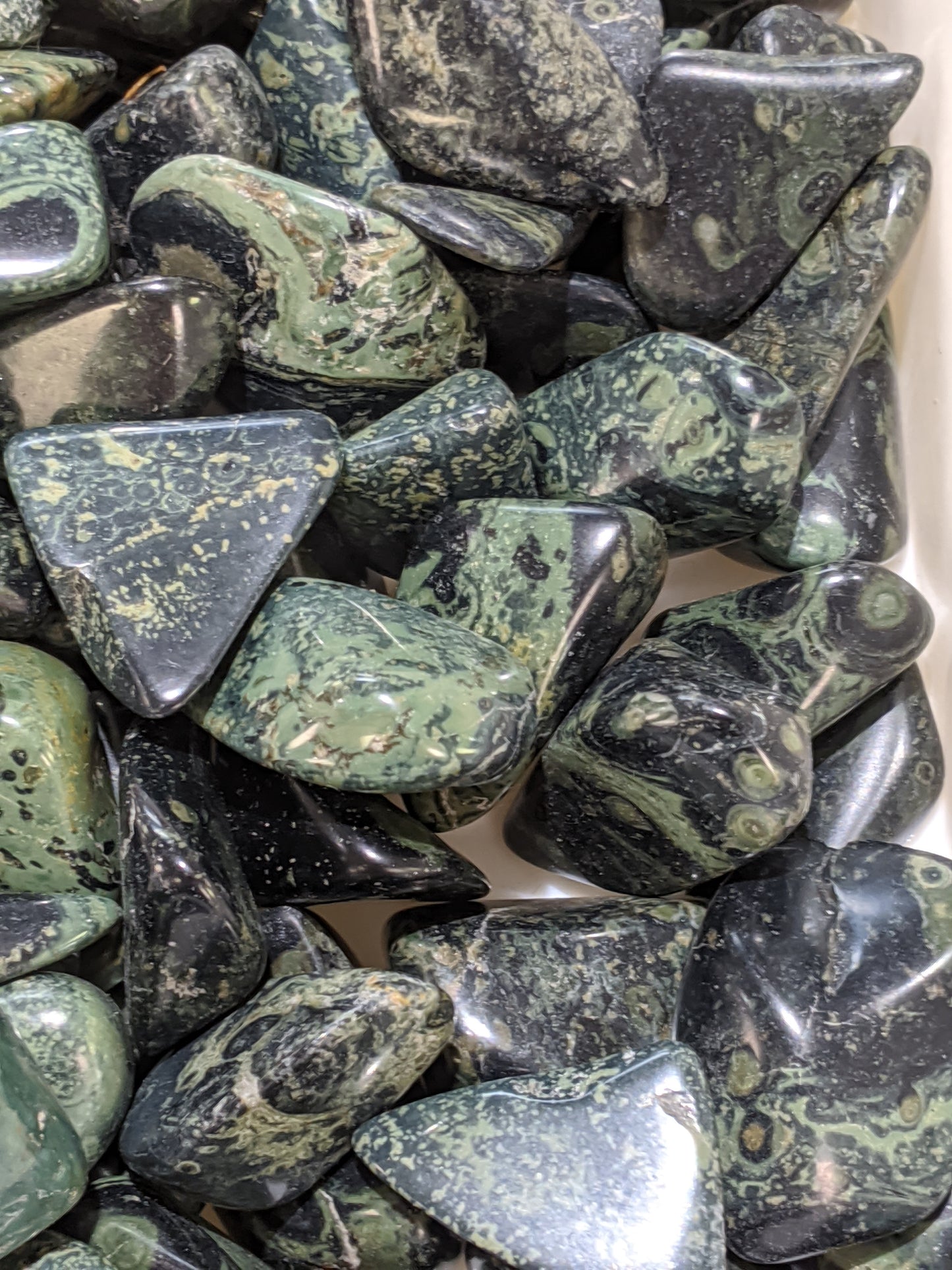 Crocodile Jasper XL