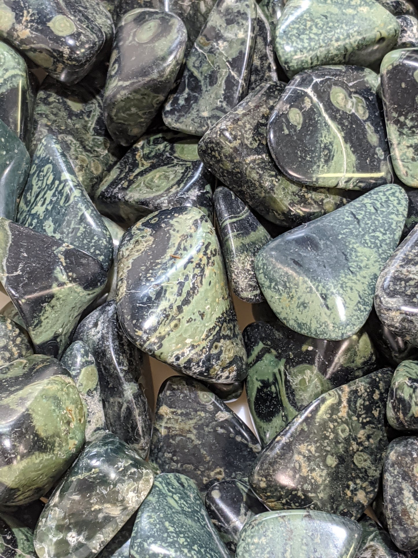 Crocodile Jasper XL