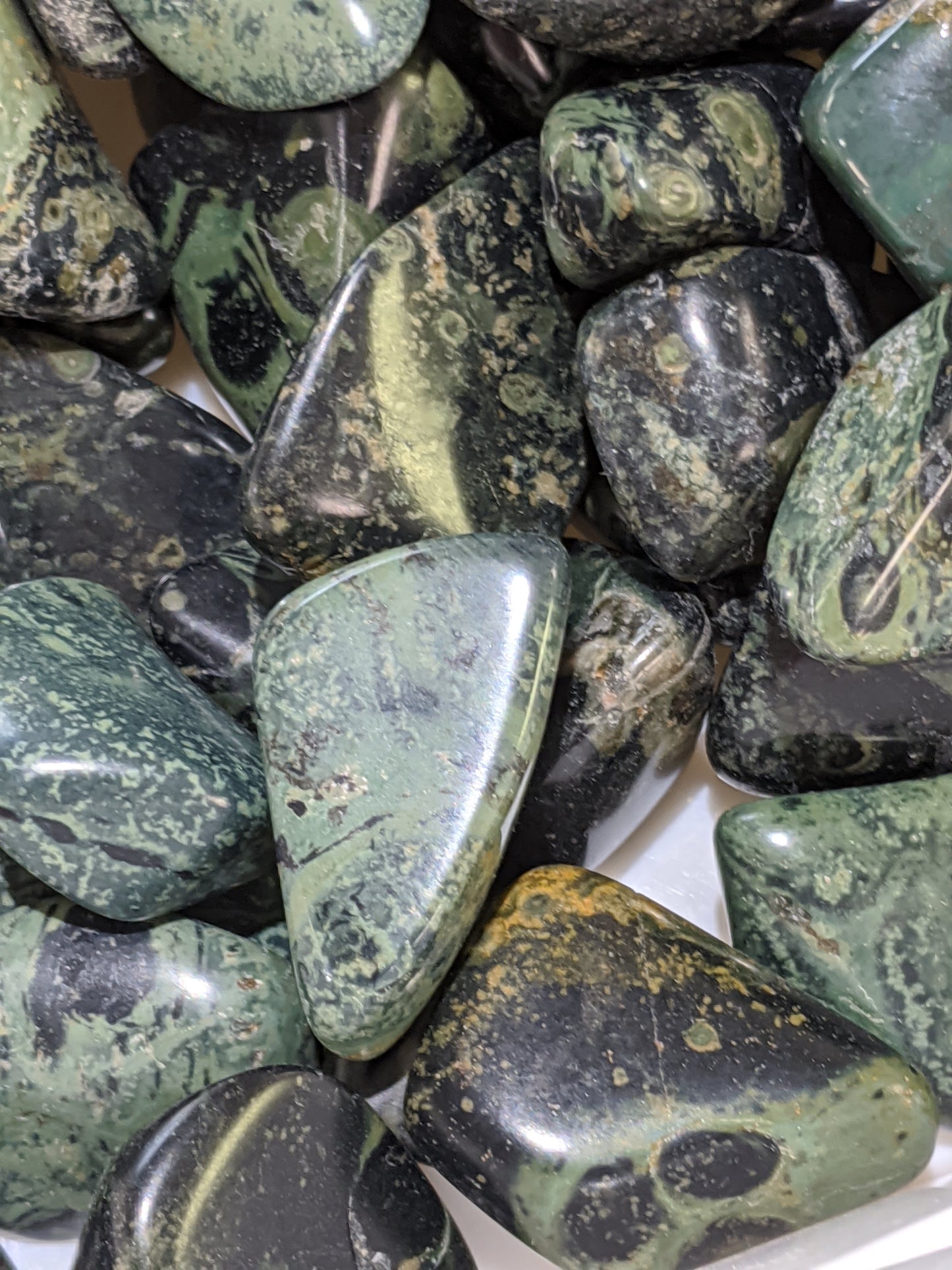 Crocodile Jasper XL