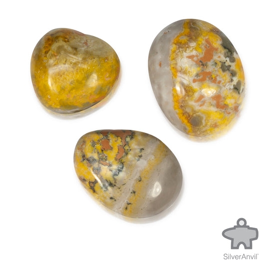 Bumble Bee Jasper