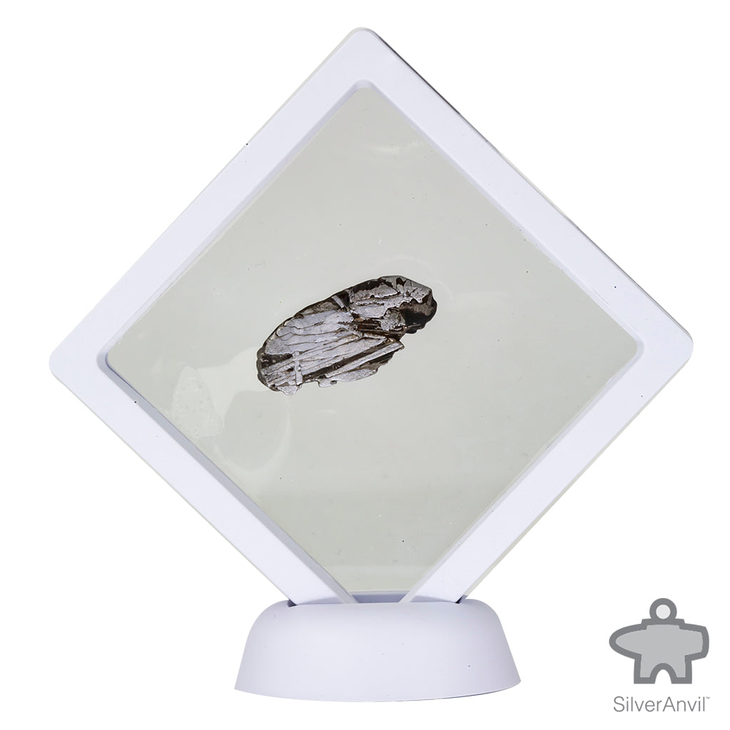 Muonionalusta Meteorite C5178