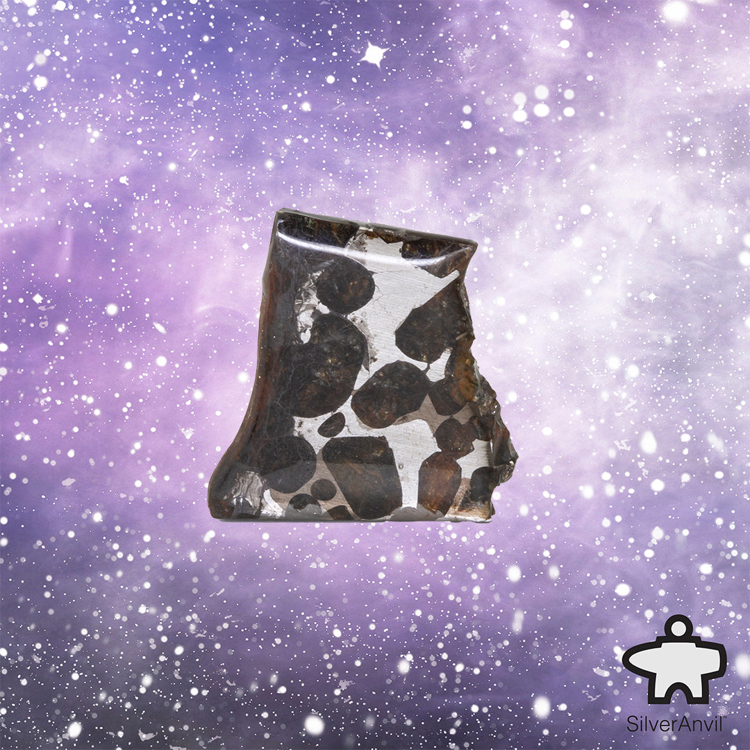 Sericho Pallasite Meteorite C5072