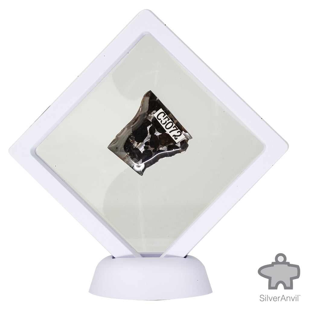Sericho Pallasite Meteorite C5072
