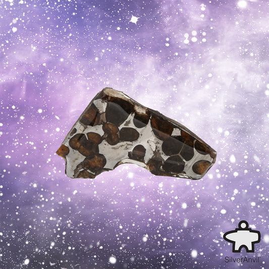 Sericho Pallasite Meteorite C5078