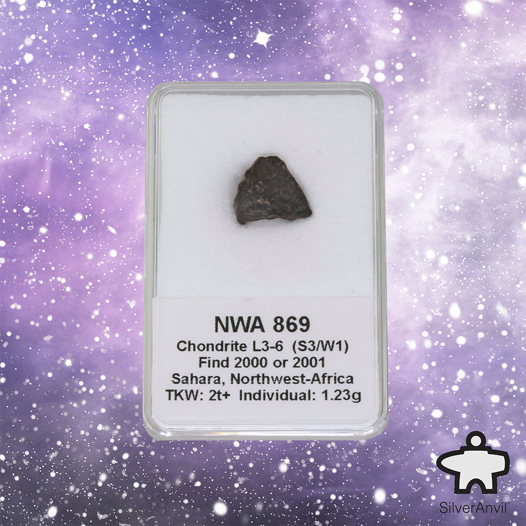 NWA Meteorite 1.23g