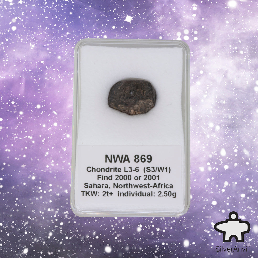 NWA Meteorite 2.50g
