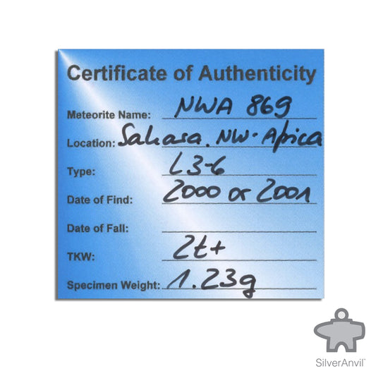 NWA Meteorite 1.23g
