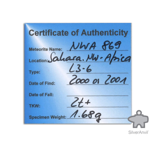 NWA Meteorite 1.68g