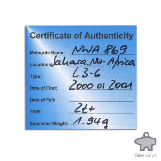 NWA Meteorite 1.94g