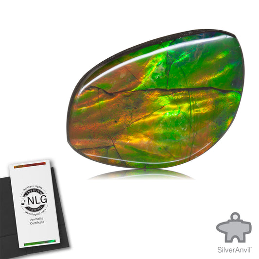 Ammolite Gem #004