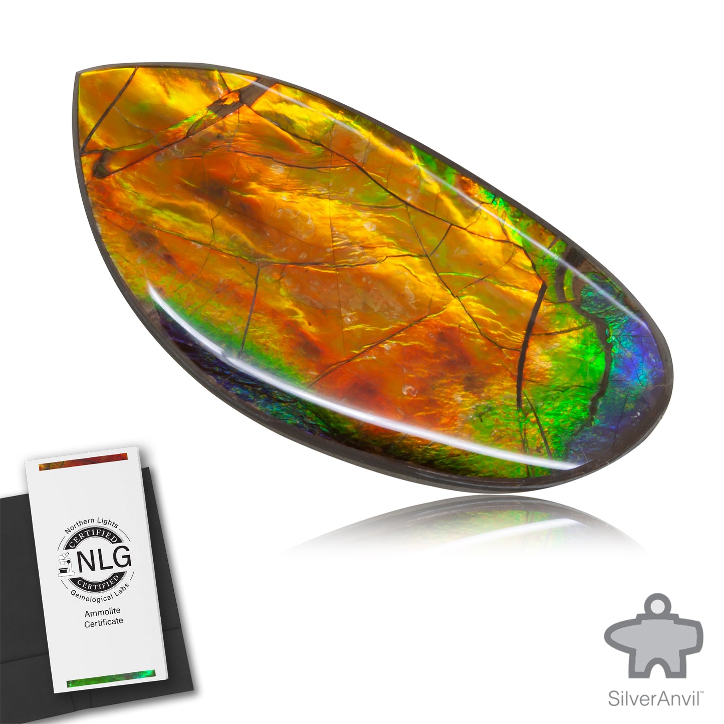 Ammolite Gem #006