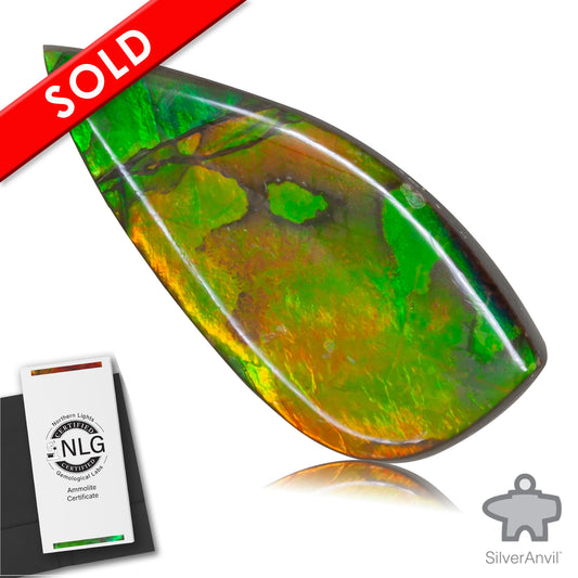 Ammolite Gem #011