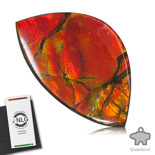 Ammolite Gem #013