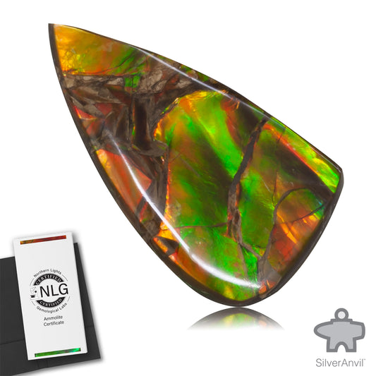 Ammolite Gem #014