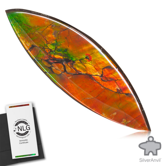 Ammolite Gem #018