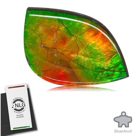 Ammolite Gem #019