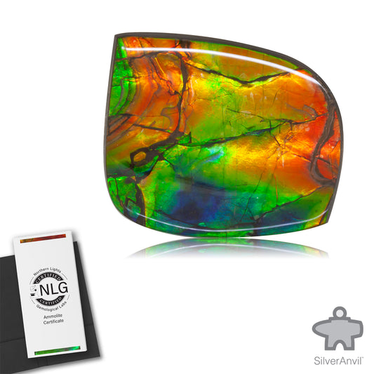 Ammolite Gem #020