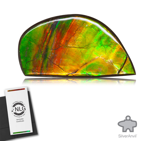 Ammolite Gem #021