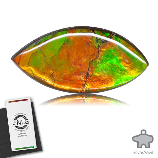 Ammolite Gem #022