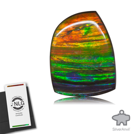 Ammolite Gem #023