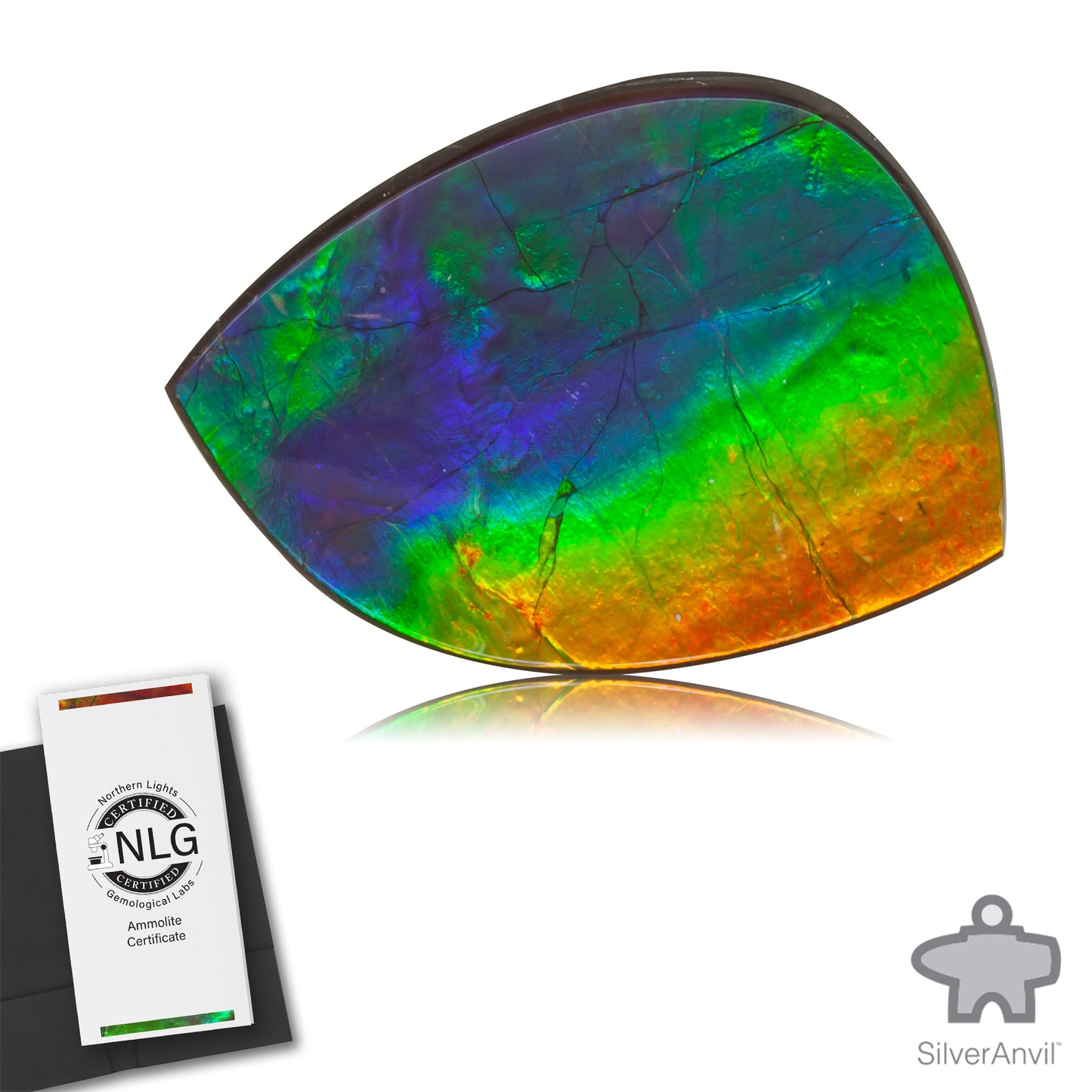 Ammolite Gem #024