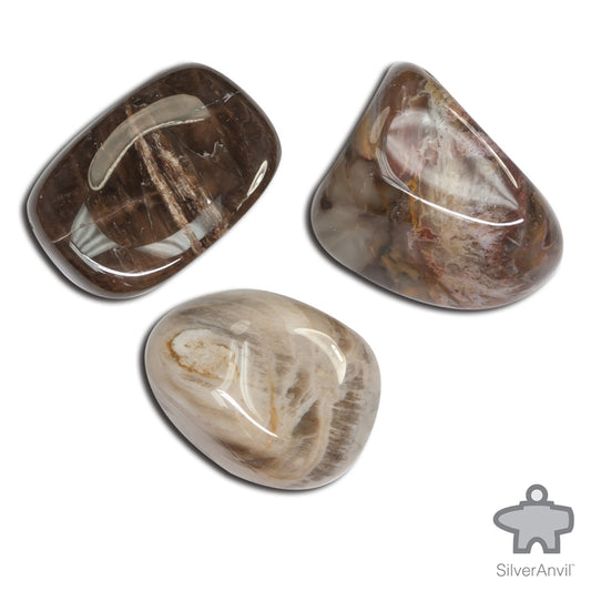 Petrified Wood