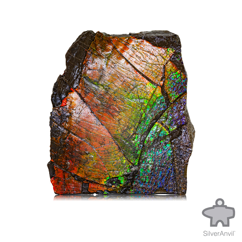 Rough Ammolite 005