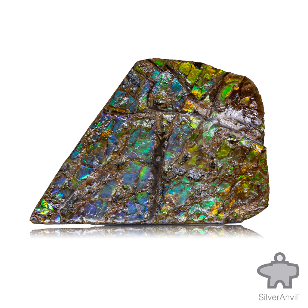 Rough Ammolite 006