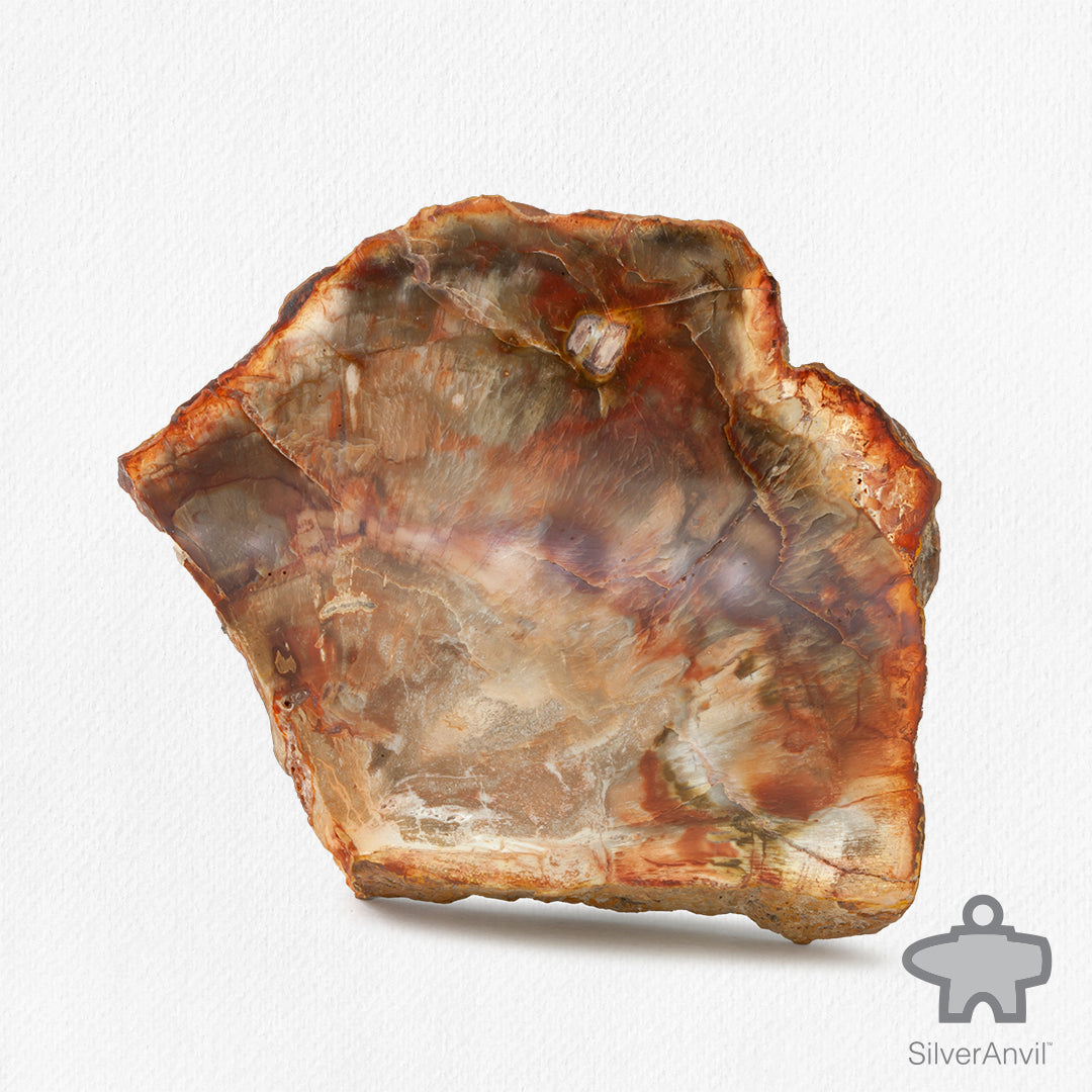 Petrified Wood