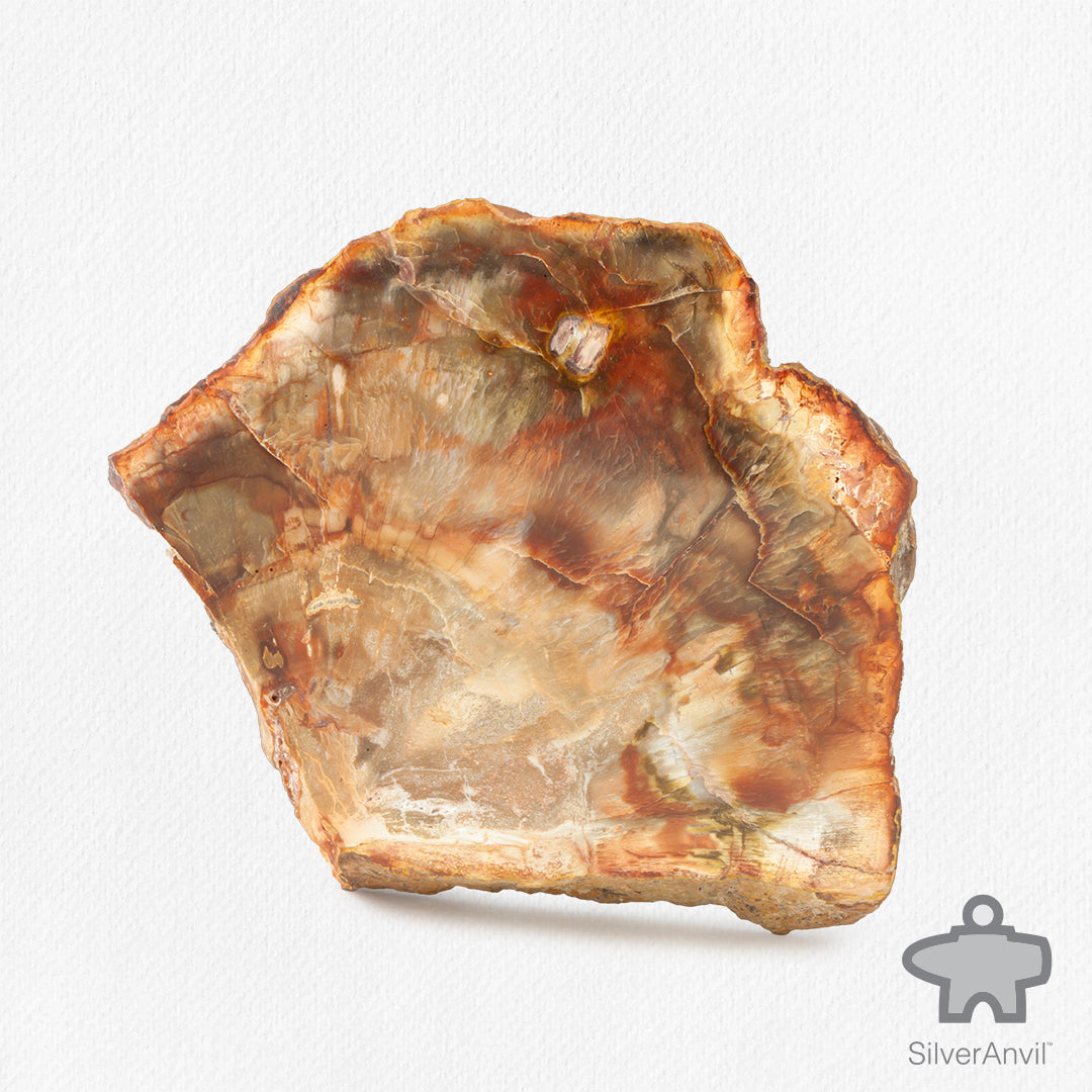 Petrified Wood