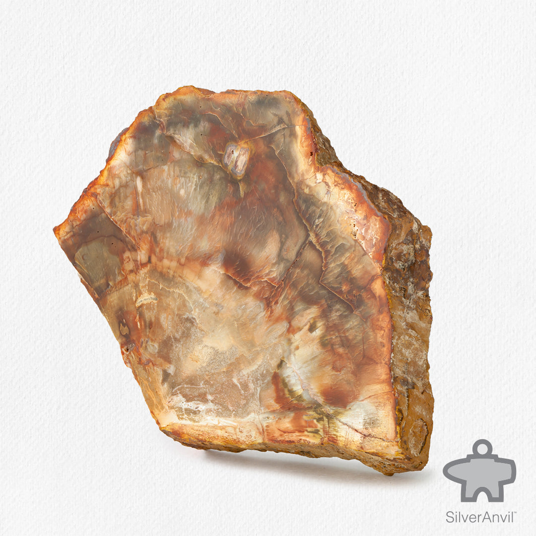 Petrified Wood