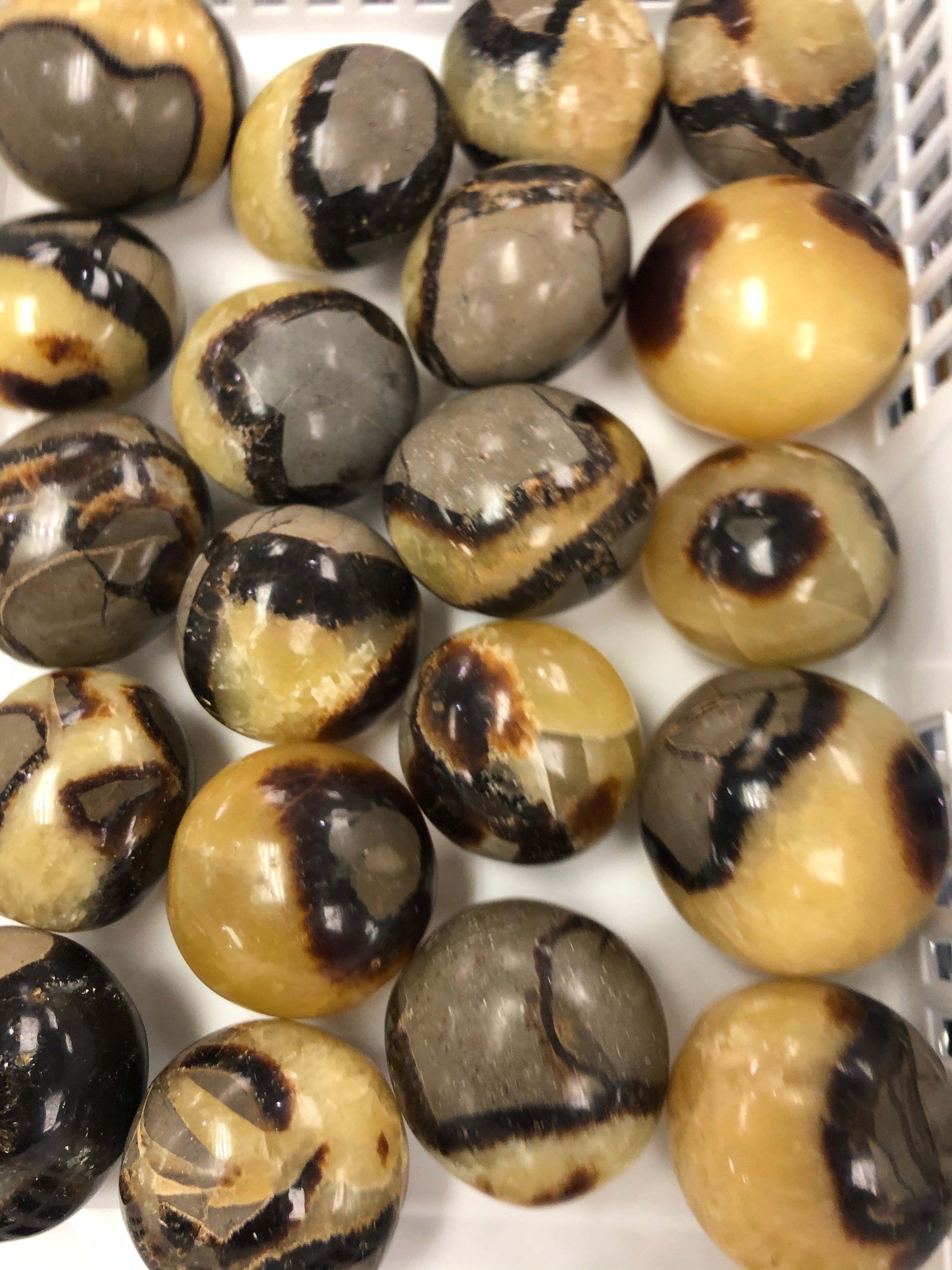 Septarian jewelry on sale