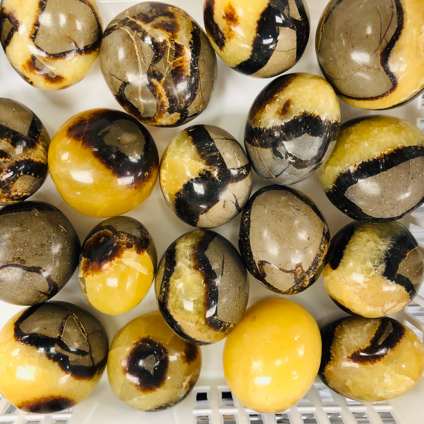 Septarian