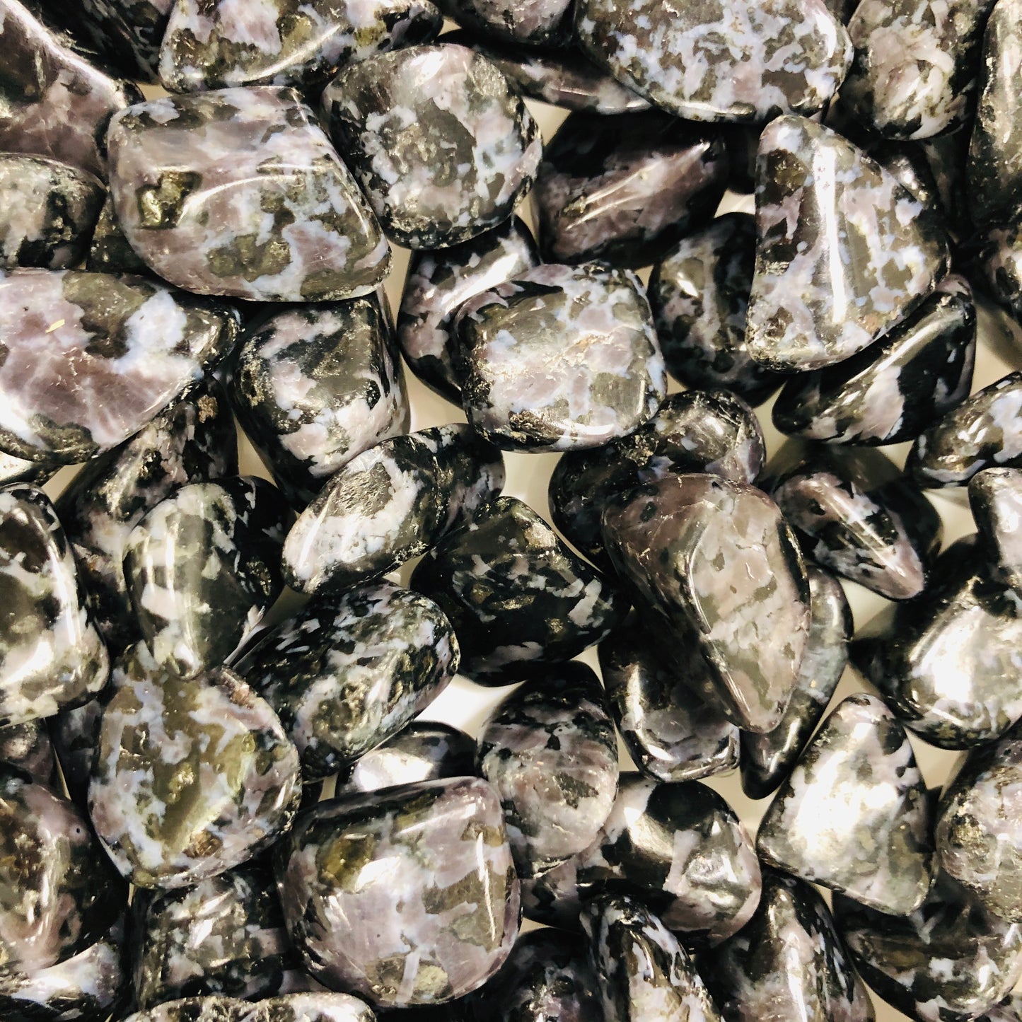 Indigo Gabbro